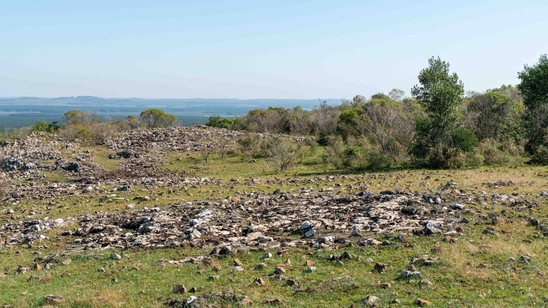 Pedregales con arbustos nativos y vista a la llanura circundante