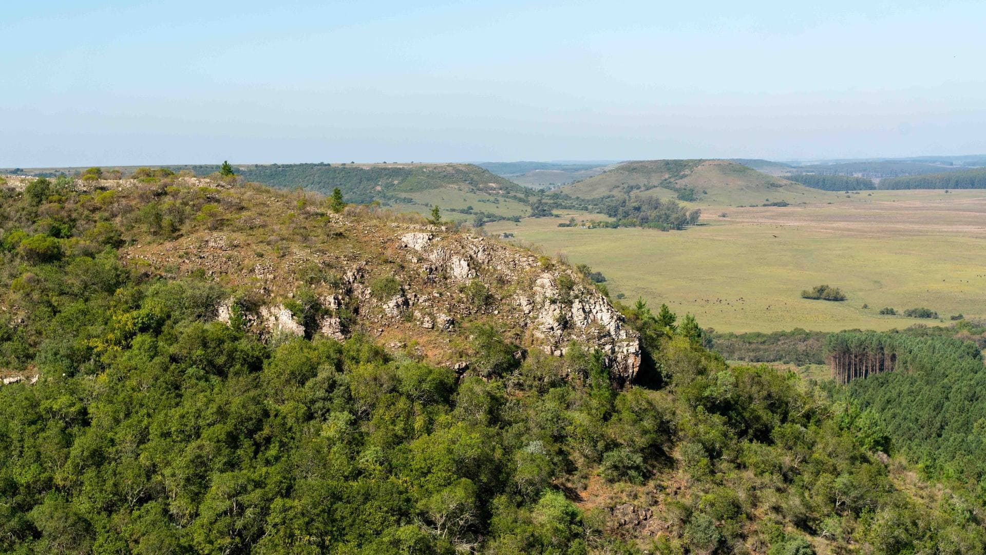 Rock formation covered with native forest, with grasslands and hills in the background